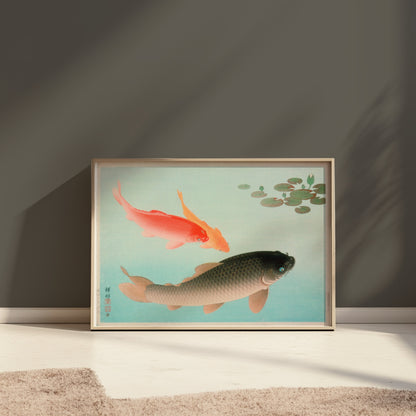 Premium Poster of Koi Fish in Tranquil Pond with Lily Pads Posters