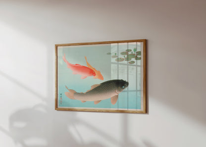 Premium Poster of Koi Fish in Tranquil Pond with Lily Pads Posters