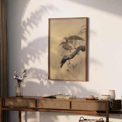 Premium Poster of Majestic Bird of Prey on Branch Wall Art Posters