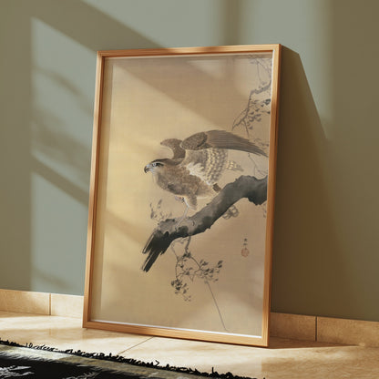 Premium Poster of Majestic Bird of Prey on Branch Wall Art Posters