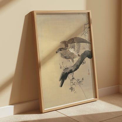 Premium Poster of Majestic Bird of Prey on Branch Wall Art Posters
