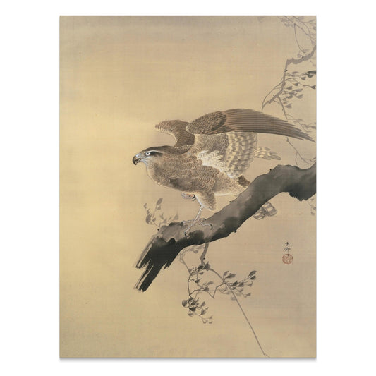 Premium Poster of Majestic Bird of Prey on Branch Wall Art Posters