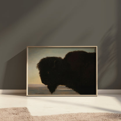 Premium Poster of Majestic Black Bison Art Print for Wall Decoration Posters