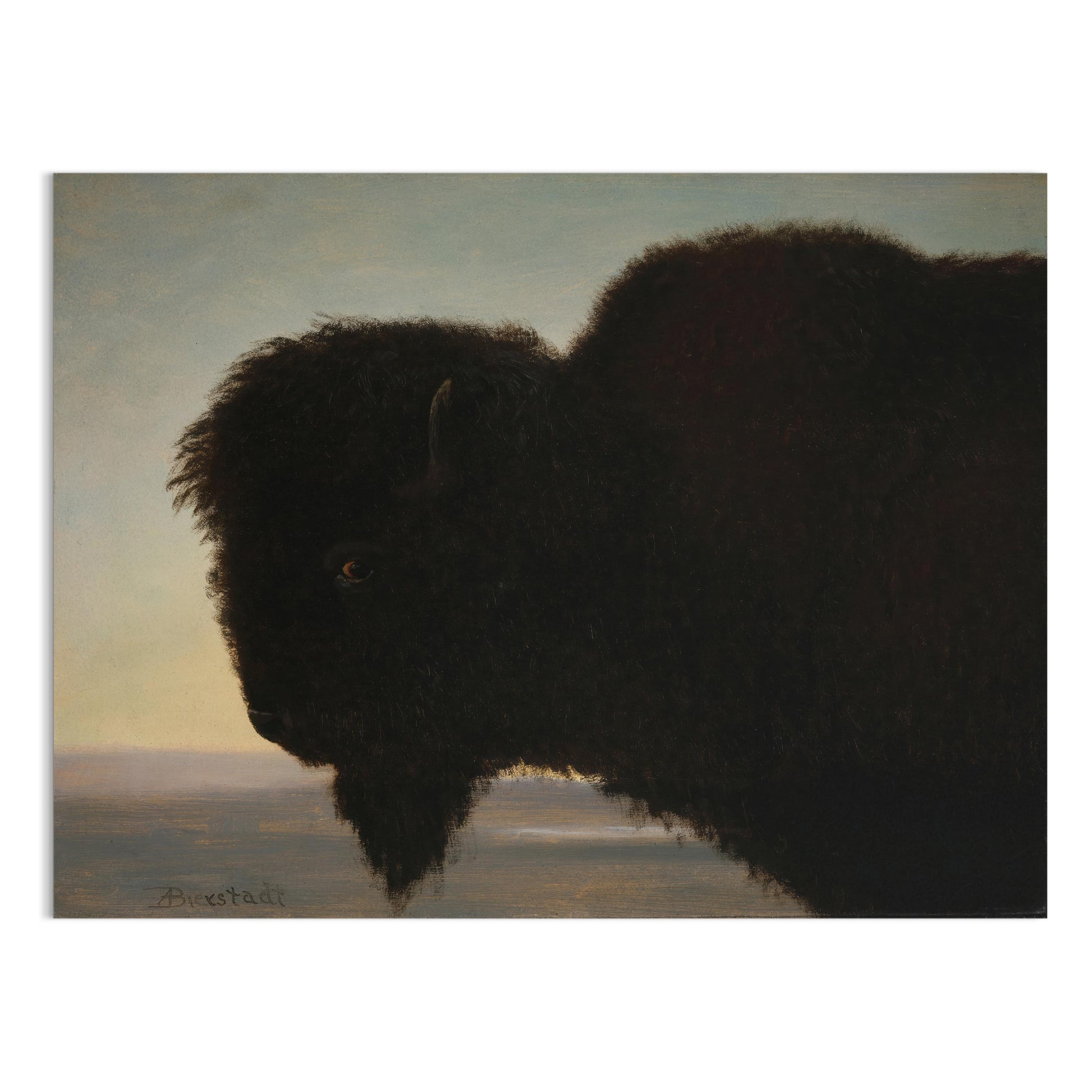 Premium Poster of Majestic Black Bison Art Print for Wall Decoration Posters
