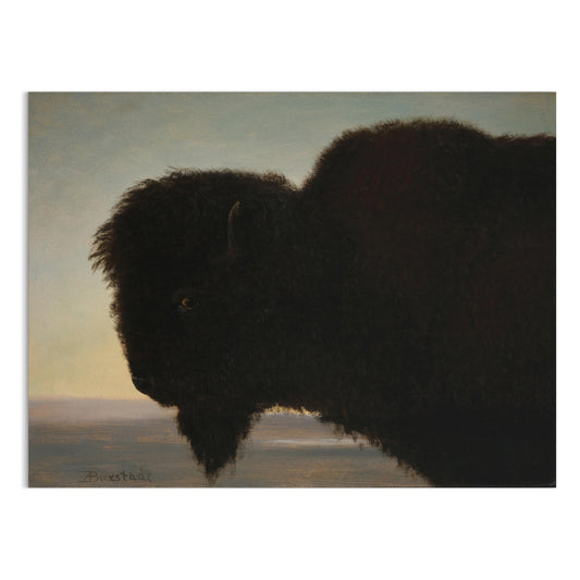 Premium Poster of Majestic Black Bison Art Print for Wall Decoration Posters