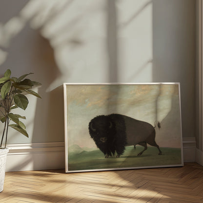 Premium Poster of Majestic Buffalo Standing Strong in Nature Scene Posters
