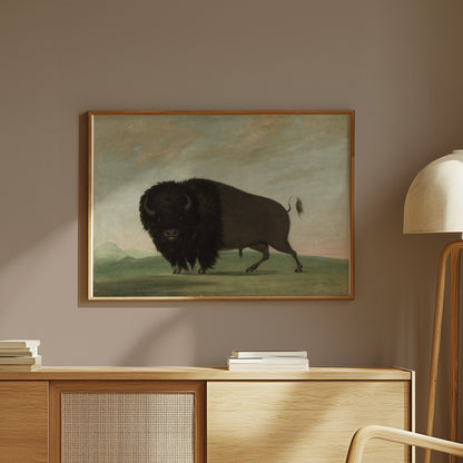 Premium Poster of Majestic Buffalo Standing Strong in Nature Scene Posters