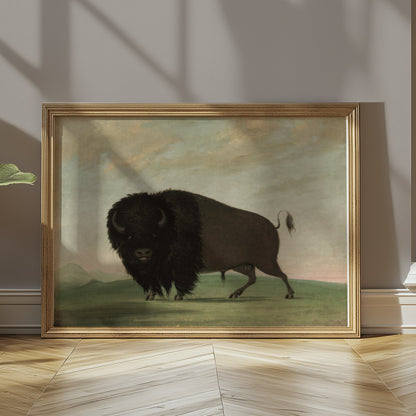 Premium Poster of Majestic Buffalo Standing Strong in Nature Scene Posters