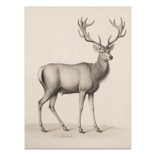 Premium Poster of Majestic Deer Art Print Perfect for Rustic Home Decor Posters