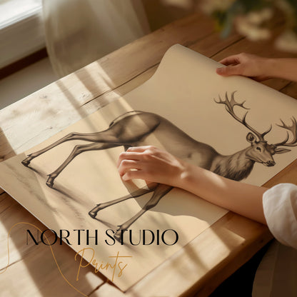 Premium Poster of Majestic Deer Illustration in Vintage Style Posters