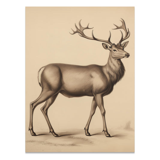 Premium Poster of Majestic Deer Illustration in Vintage Style Posters