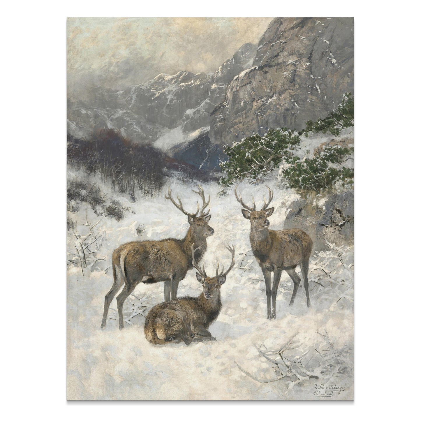 Premium Poster of Majestic Deer in a Snowy Mountain Landscape Posters