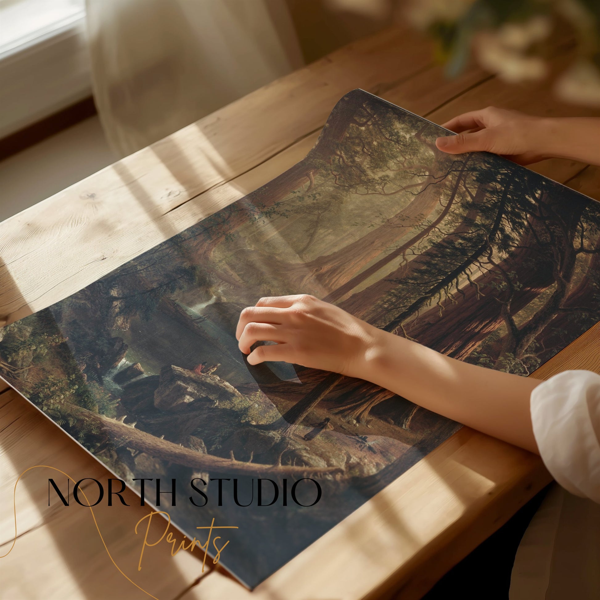Premium Poster of Majestic Forest Landscape with Waterfall Posters