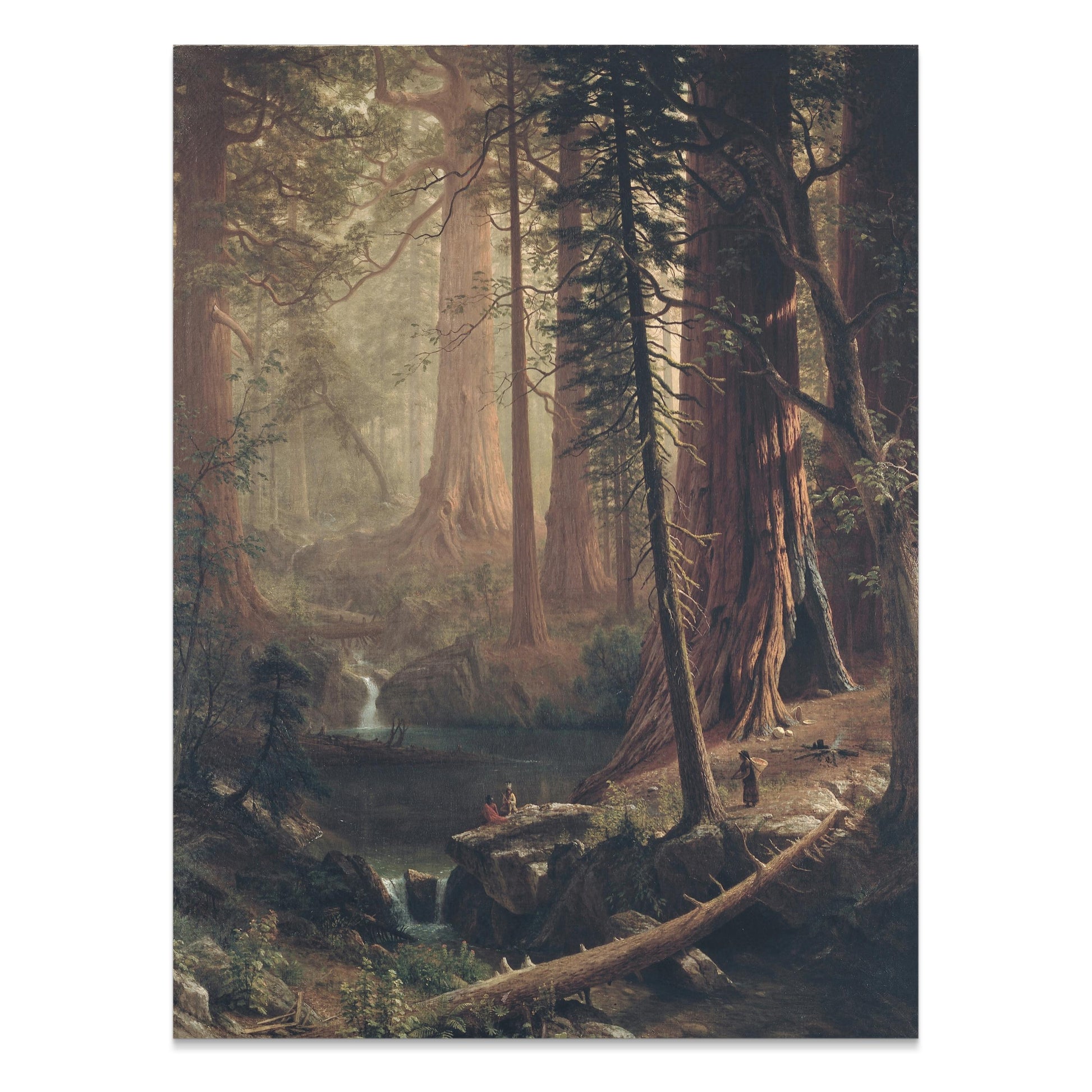 Premium Poster of Majestic Forest Landscape with Waterfall Posters