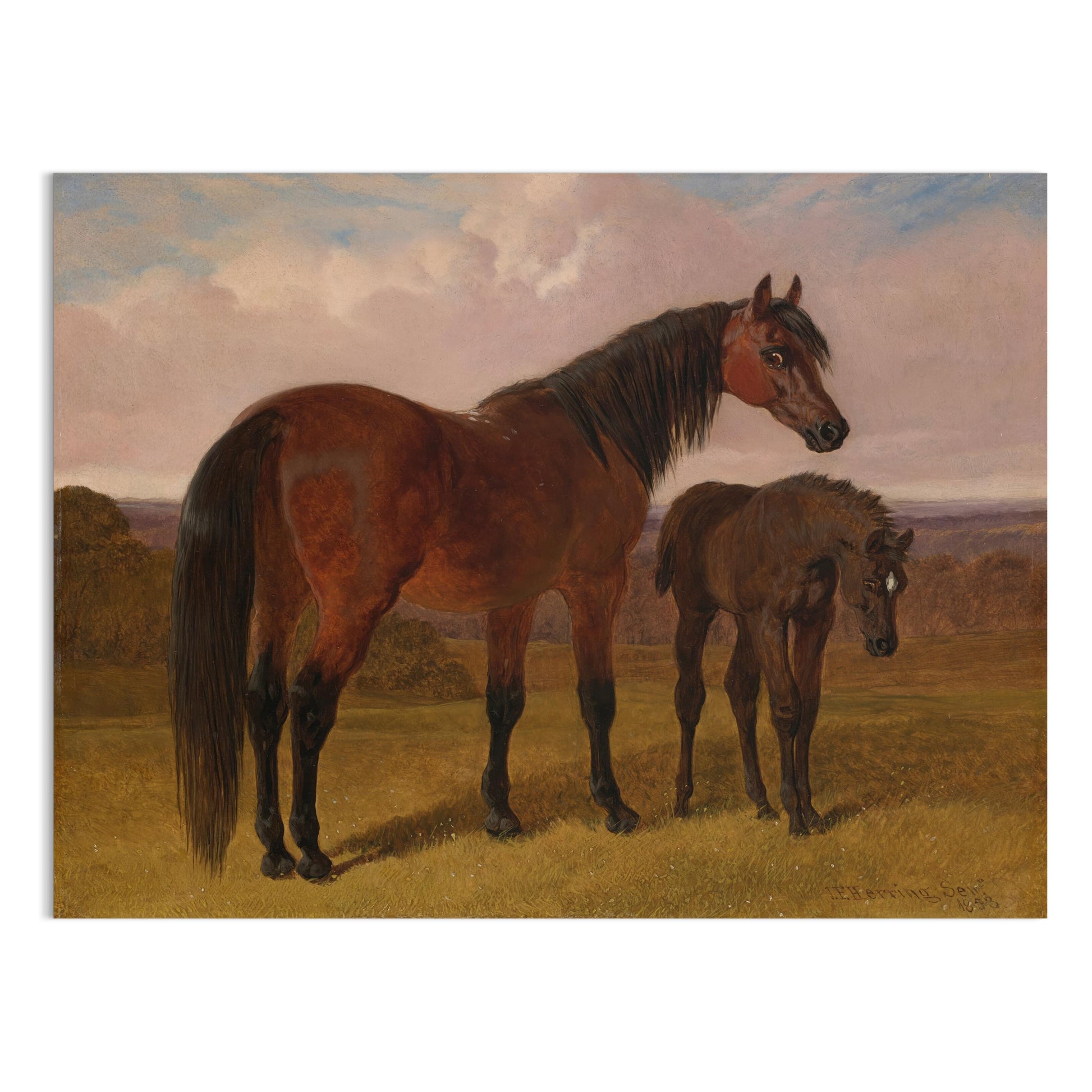 Premium Poster of Majestic Horse and Foal in Serene Landscape Posters