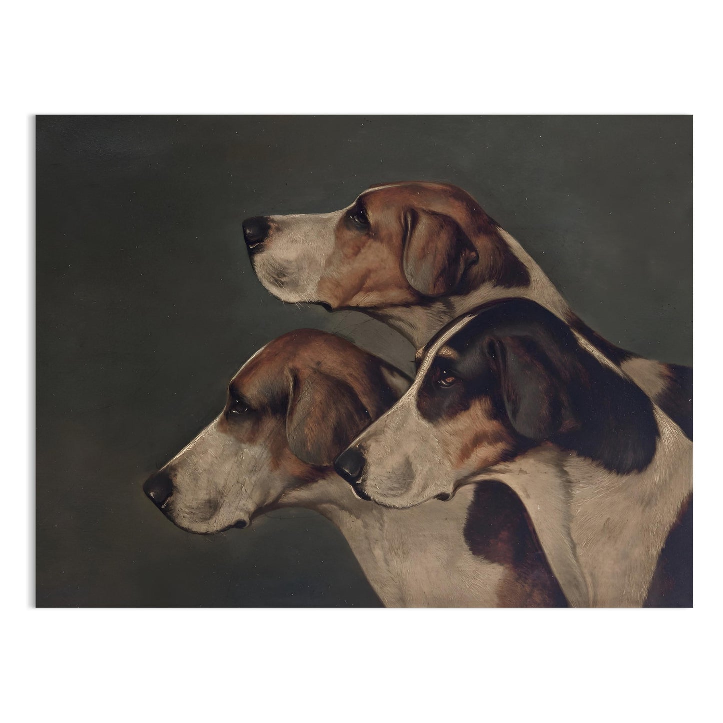 Premium Poster of Majestic Trio of Hounds Paintings Wall Art Posters
