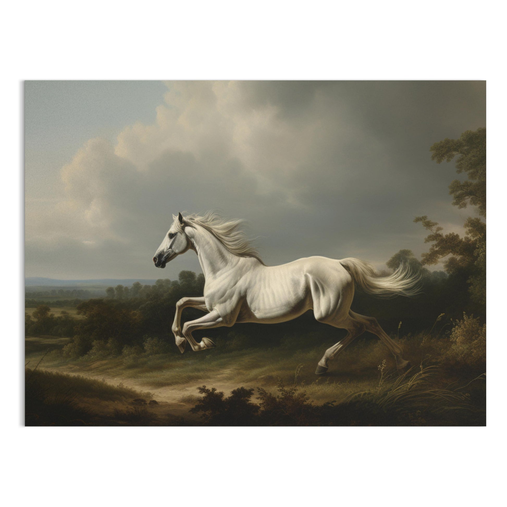 Premium Poster of Majestic White Horse Running in Nature Posters