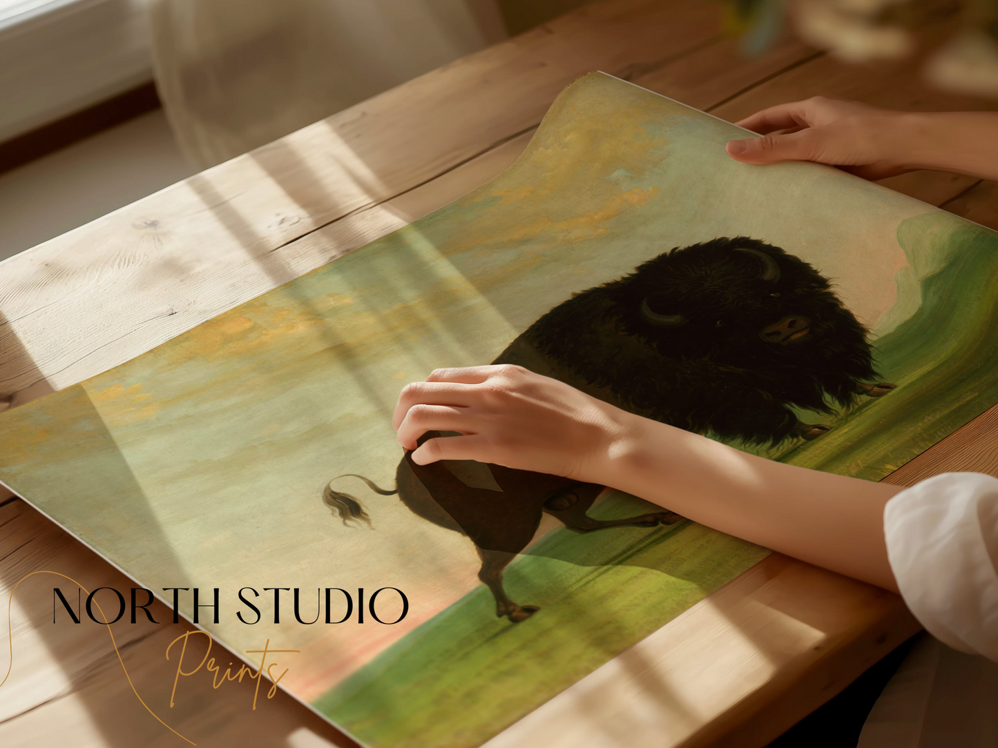 Premium Poster of Majestic Wild Bison on Grassland Art Print Posters