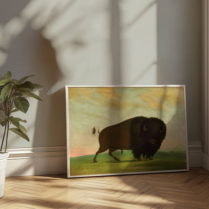 Premium Poster of Majestic Wild Bison on Grassland Art Print Posters