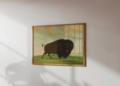 Premium Poster of Majestic Wild Bison on Grassland Art Print Posters