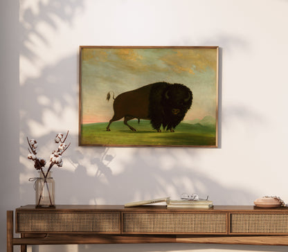 Premium Poster of Majestic Wild Bison on Grassland Art Print Posters