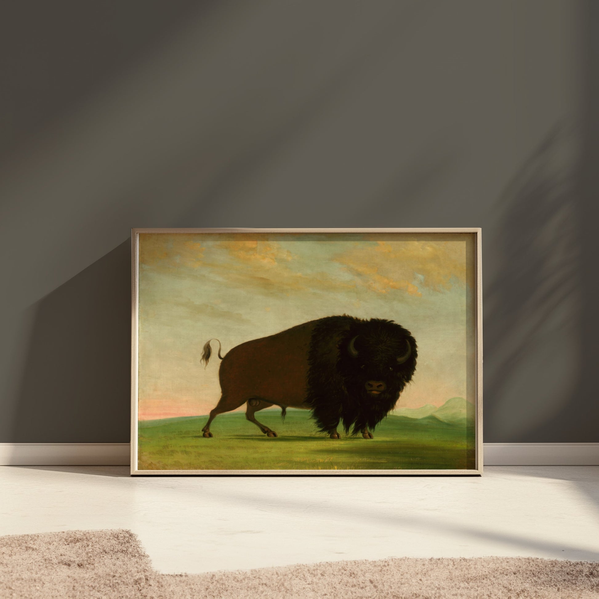 Premium Poster of Majestic Wild Bison on Grassland Art Print Posters