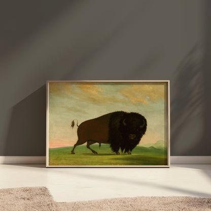 Premium Poster of Majestic Wild Bison on Grassland Art Print Posters