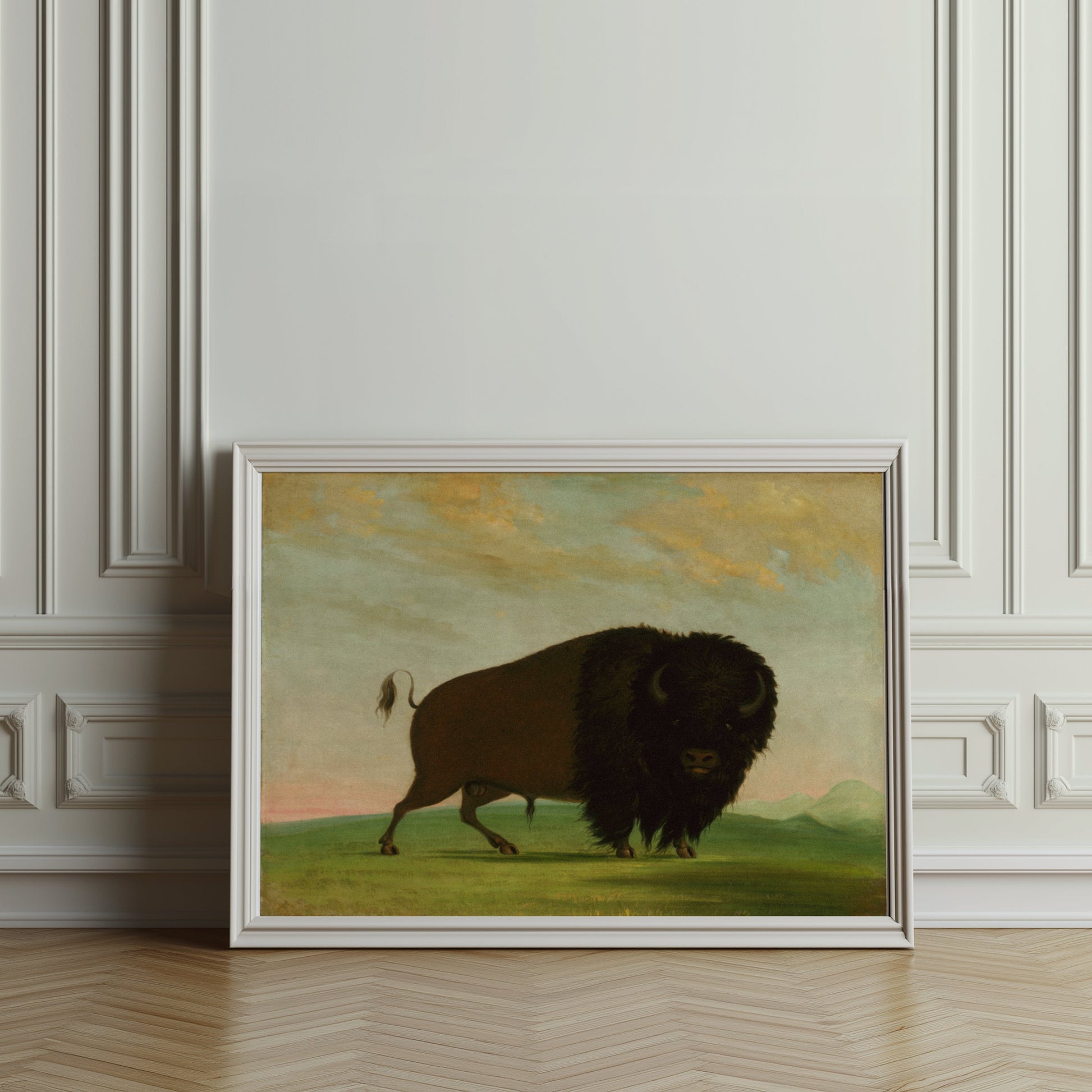 Premium Poster of Majestic Wild Bison on Grassland Art Print Posters