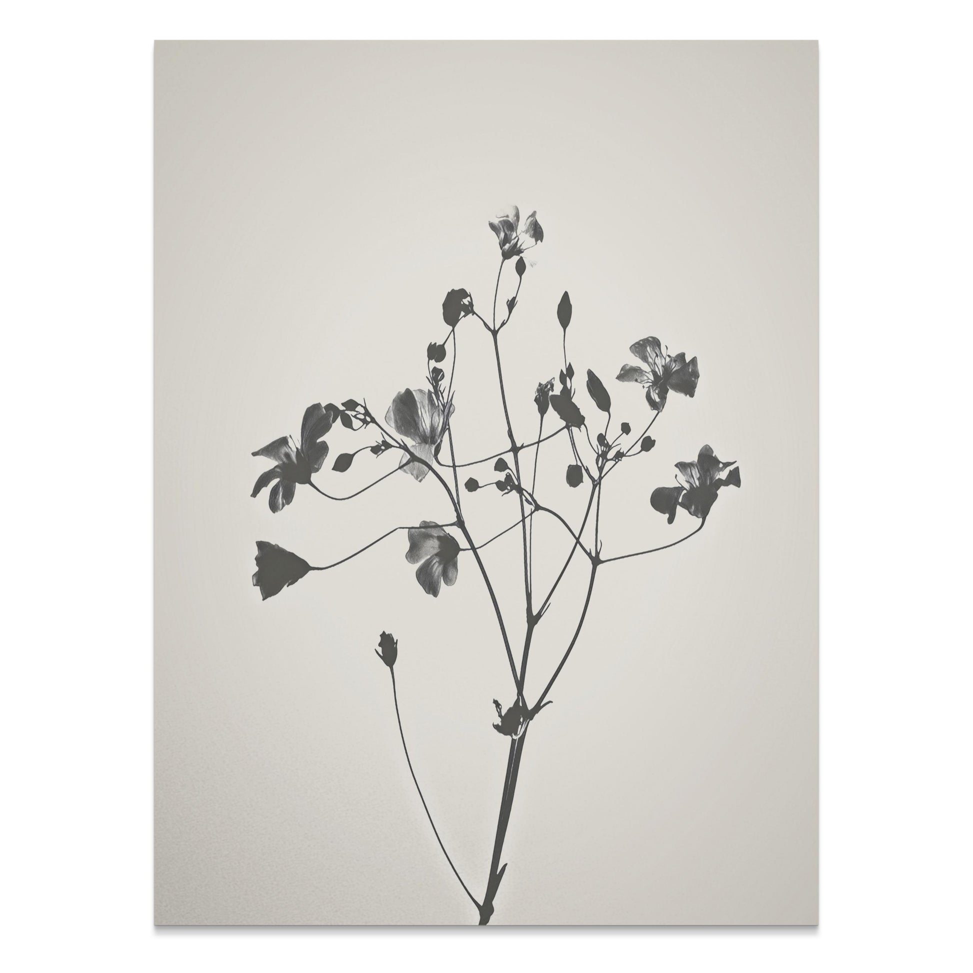 Premium Poster of Minimalist Black and White Floral Art Print Posters