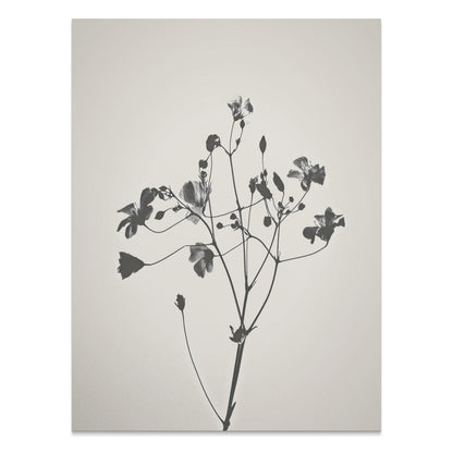 Premium Poster of Minimalist Black and White Floral Art Print Posters