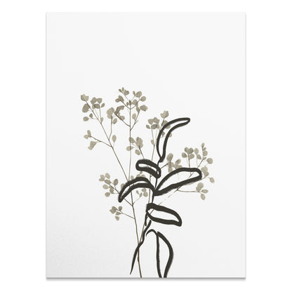 Premium Poster of Minimalist Botanical Art Plant Drawing Posters