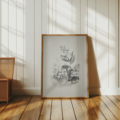 Premium Poster of Minimalist Botanical Art Print Black White Posters