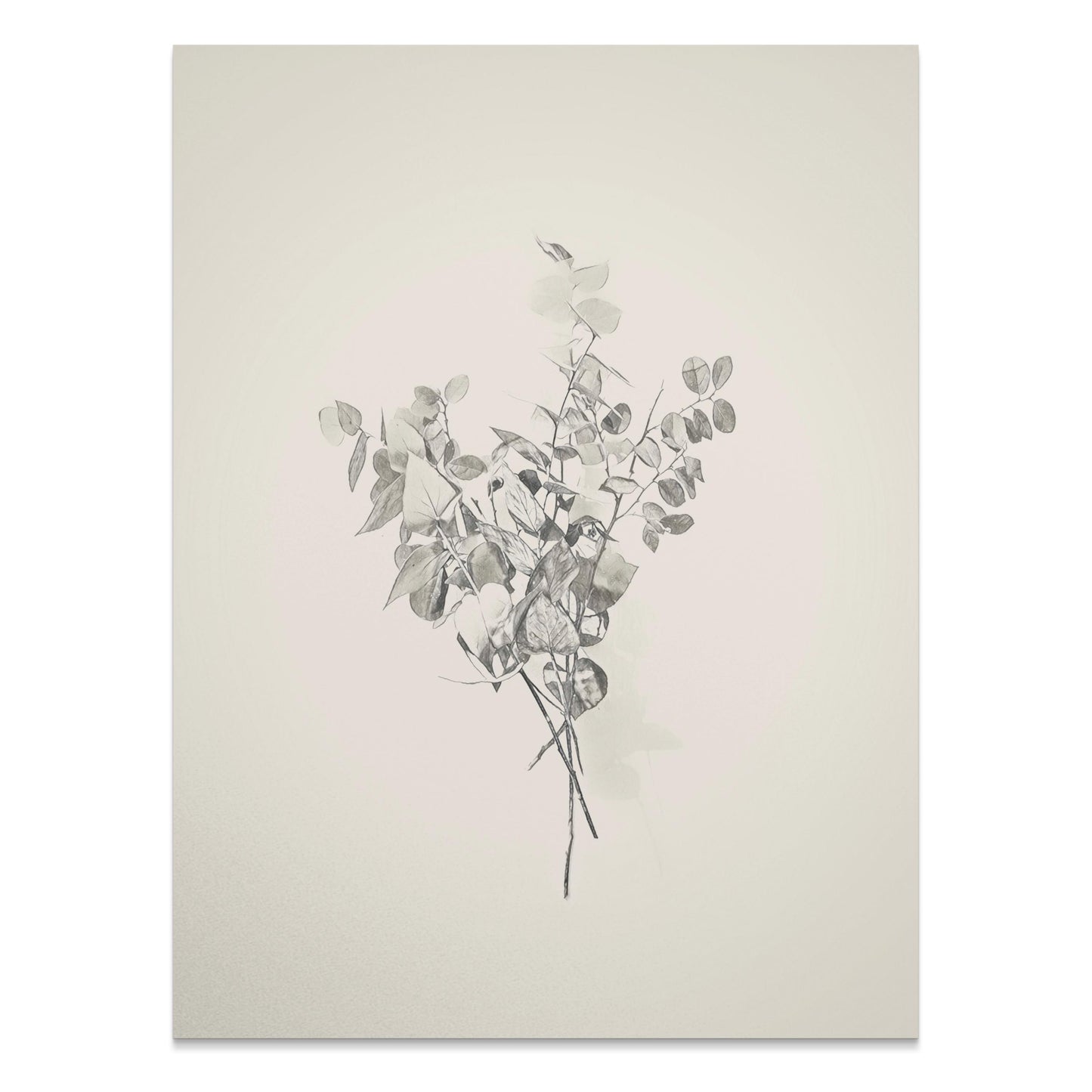 Premium Poster of Minimalist Botanical Art Print Ready to Hang Posters