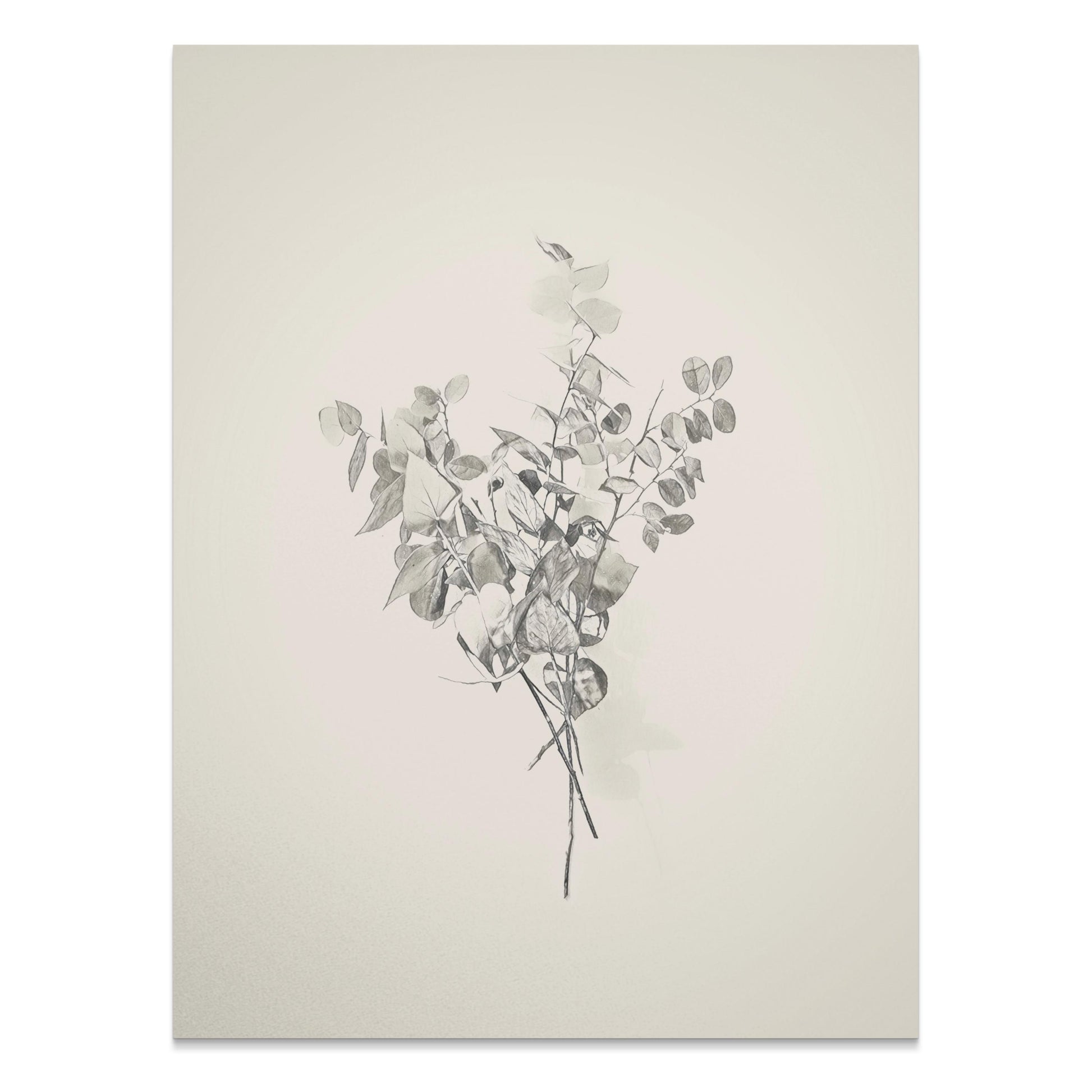 Premium Poster of Minimalist Botanical Art Print Ready to Hang Posters