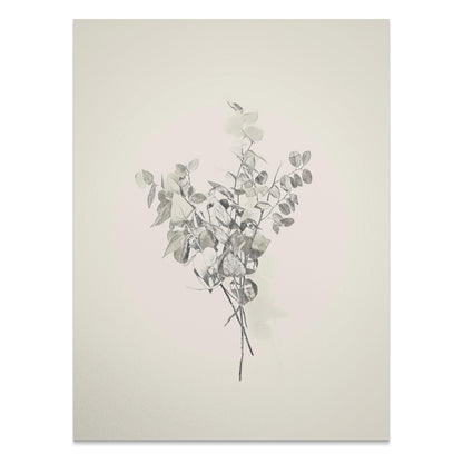 Premium Poster of Minimalist Botanical Art Print Ready to Hang Posters