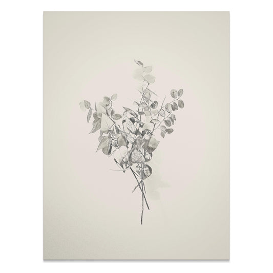 Premium Poster of Minimalist Botanical Art Print Ready to Hang Posters