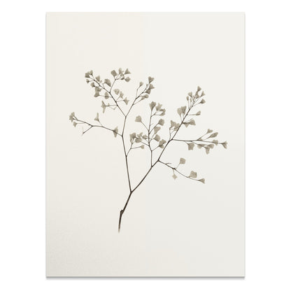 Premium Poster of Minimalist Botanical Art with Delicate Leaves Posters
