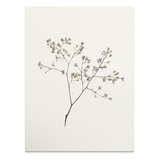 Premium Poster of Minimalist Botanical Art with Delicate Leaves Posters
