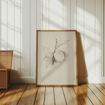 Premium Poster of Minimalist Botanical Sketch Art Wall Posters