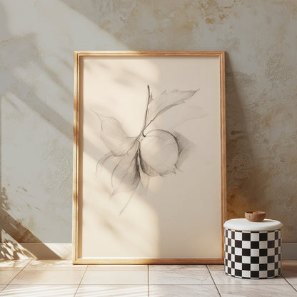 Premium Poster of Minimalist Botanical Sketch Art Wall Posters
