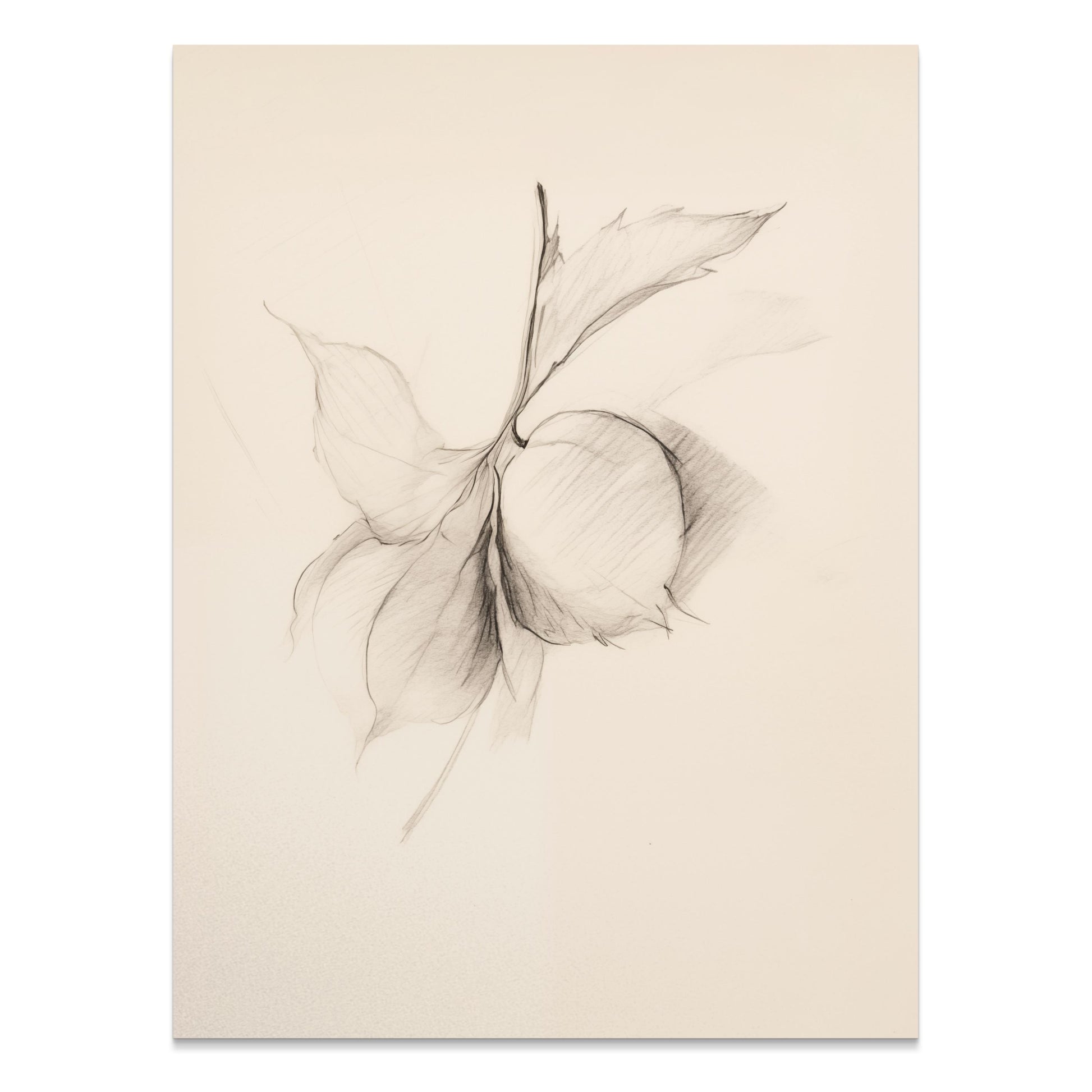 Premium Poster of Minimalist Botanical Sketch Art Wall Posters