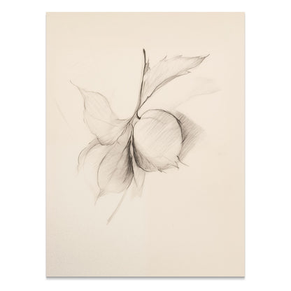Premium Poster of Minimalist Botanical Sketch Art Wall Posters