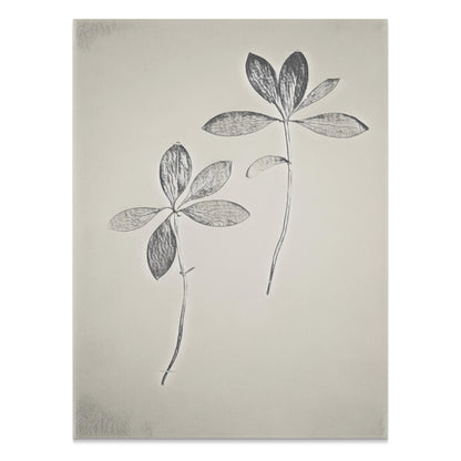 Premium Poster of Minimalist Botanical Two Stems Art Print Posters