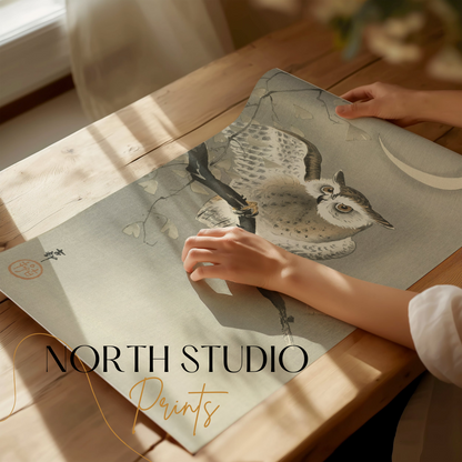 Premium Poster of Nocturnal Owl on Branch with Crescent Moon Art Posters