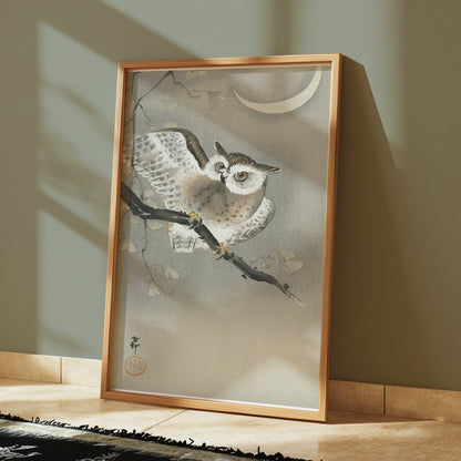 Premium Poster of Nocturnal Owl on Branch with Crescent Moon Art Posters
