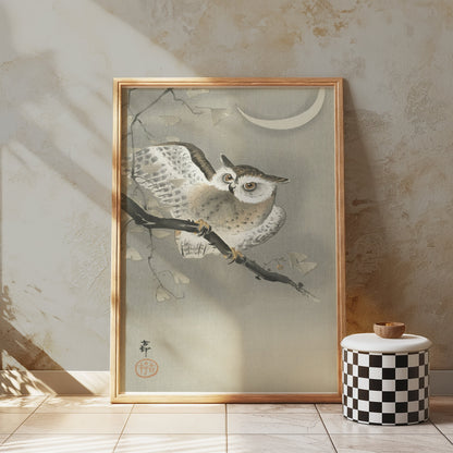 Premium Poster of Nocturnal Owl on Branch with Crescent Moon Art Posters