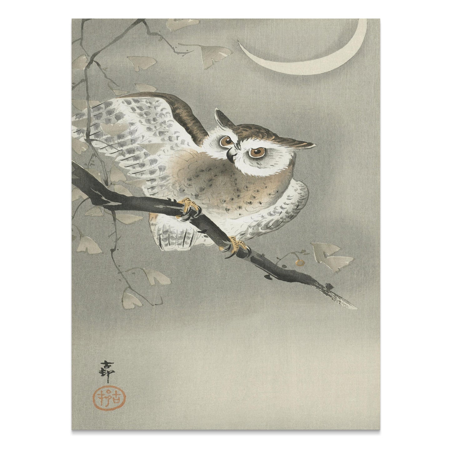 Premium Poster of Nocturnal Owl on Branch with Crescent Moon Art Posters