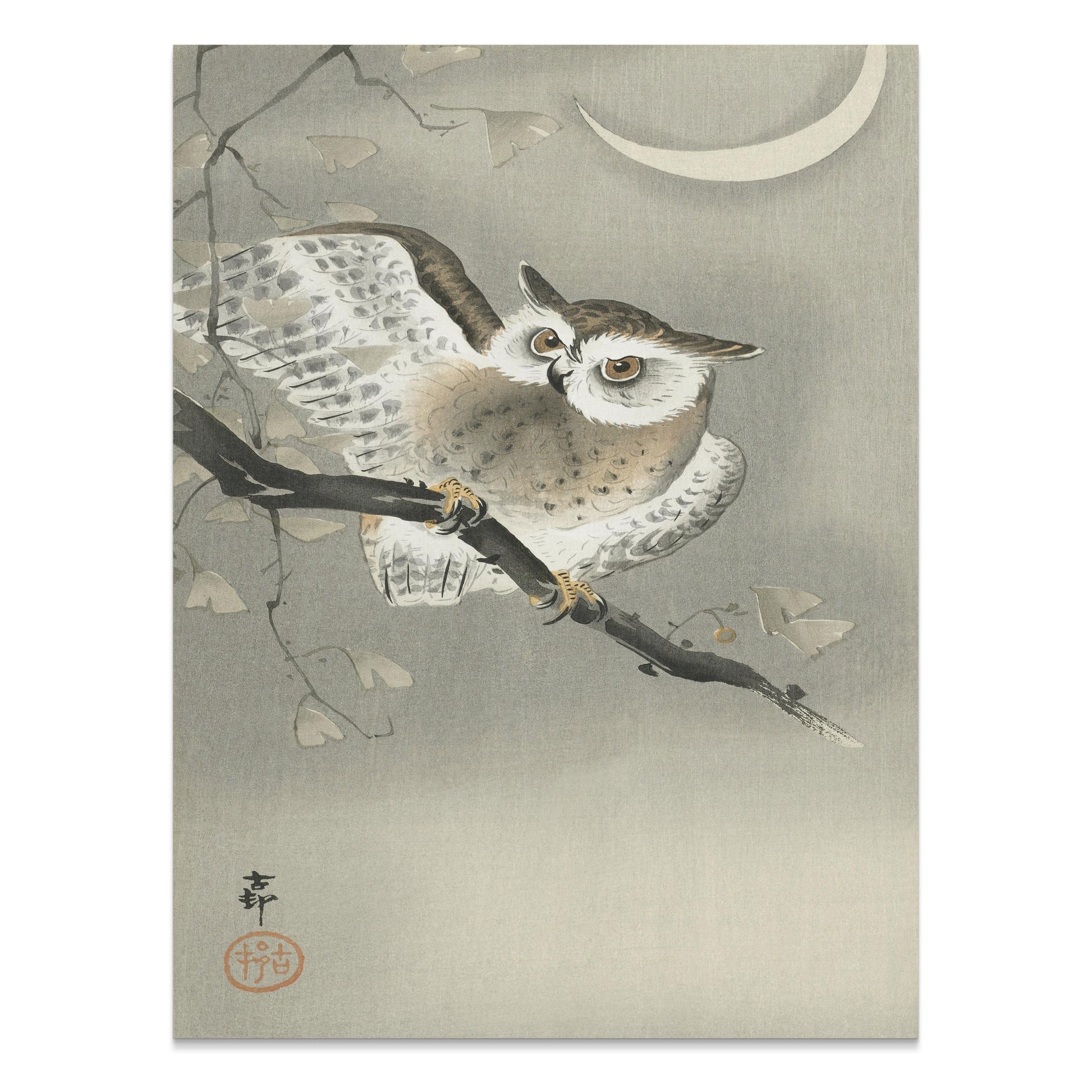Premium Poster of Nocturnal Owl on Branch with Crescent Moon Art Posters