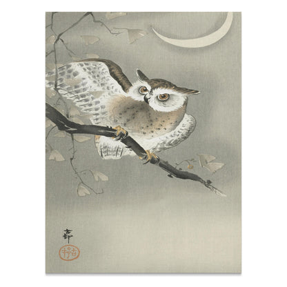 Premium Poster of Nocturnal Owl on Branch with Crescent Moon Art Posters