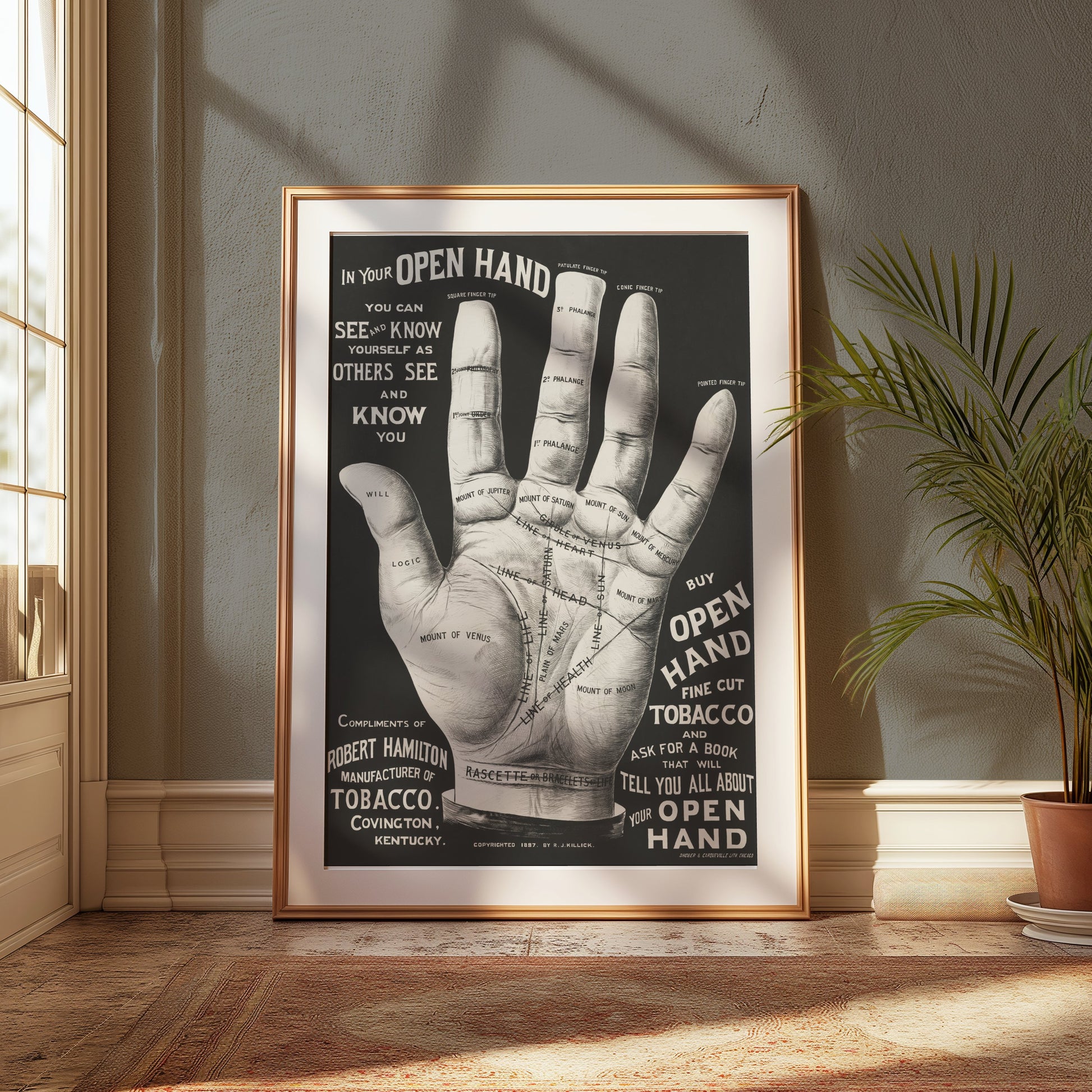 Premium Poster of Open Hand Diagram with Palm Reading Guide Posters